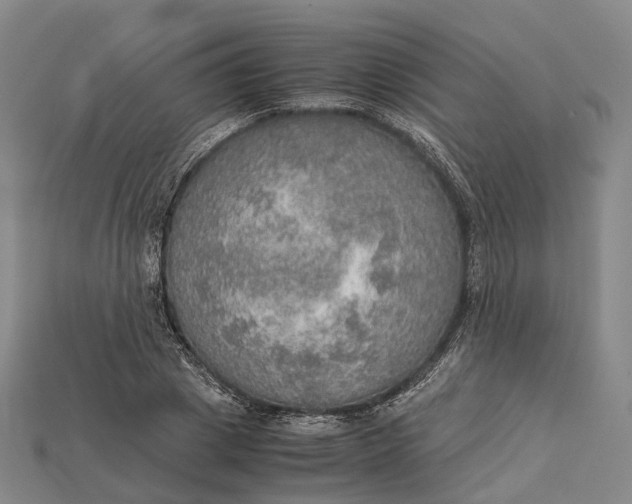 X0000115190833200911121820