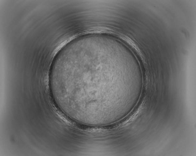 X0000115190834200911121820