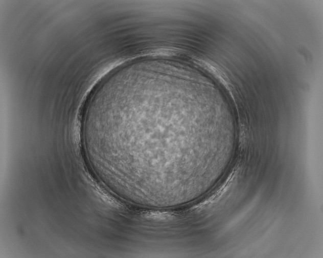 X0000115190835200911121820