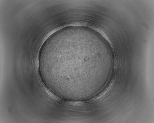X0000115190837200911121820