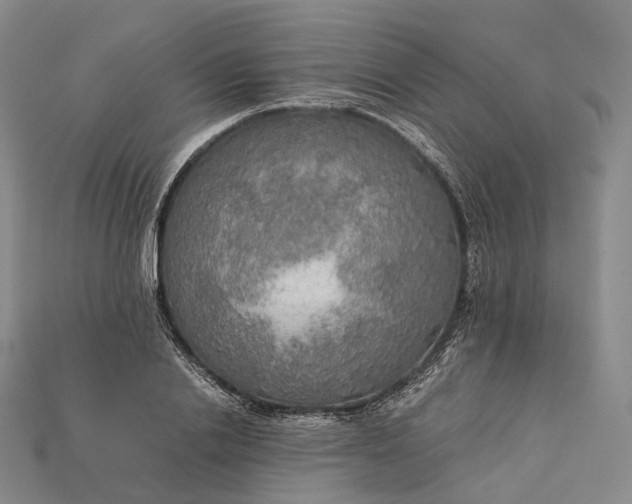 X0000115190838200911121820