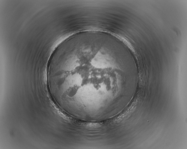 X0000115190839200911121820