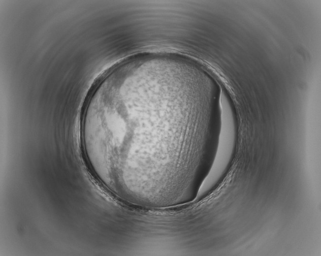 X0000115190840200911121820