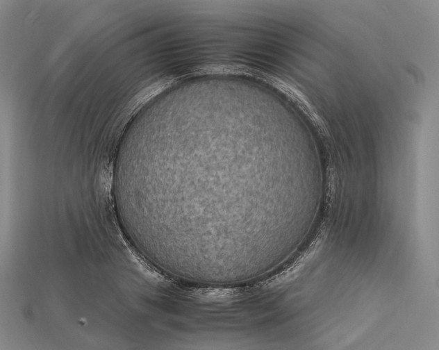 X0000115190841200911121820