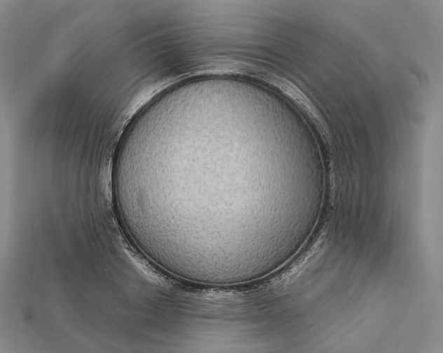 X0000115190842200911121820