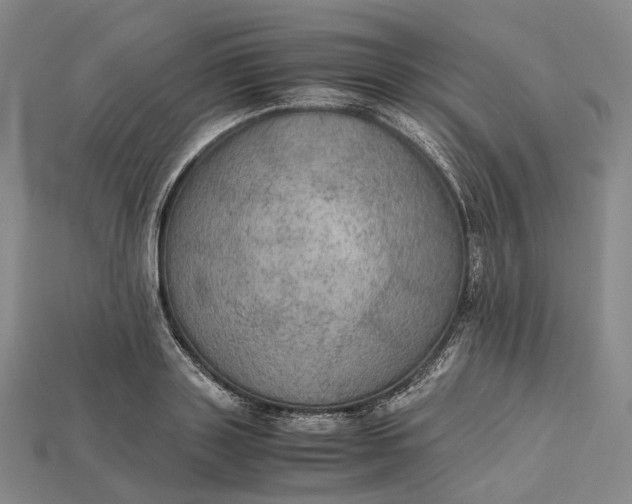 X0000115190843200911121820