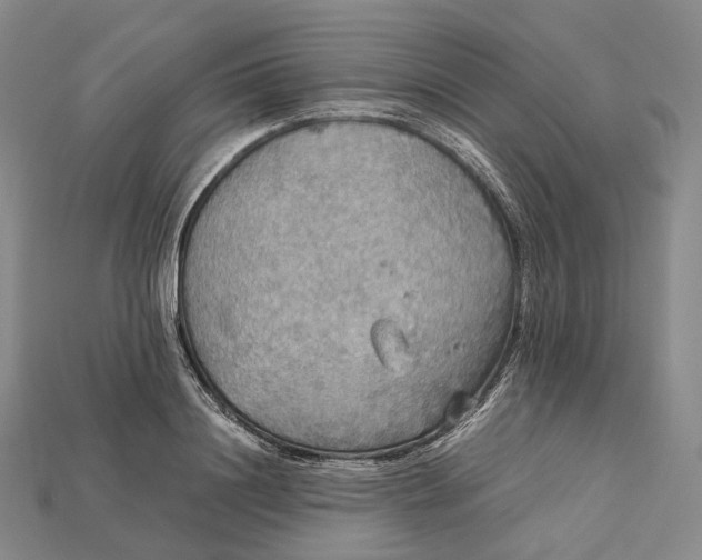 X0000115190844200911121820