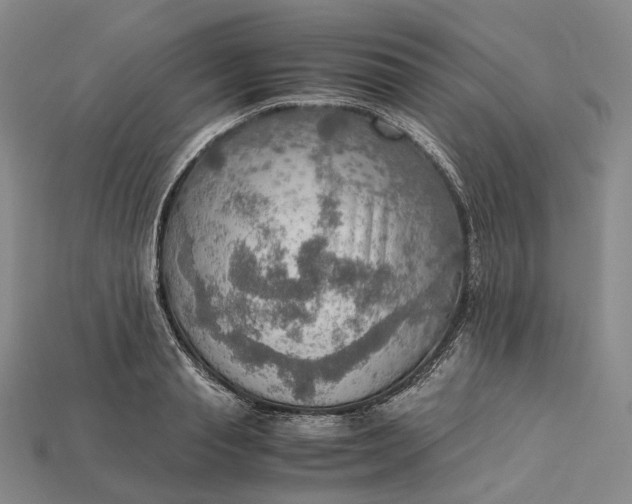 X0000115190845200911121820