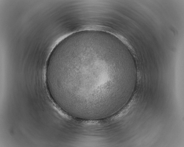 X0000115190846200911121820