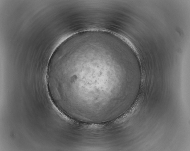 X0000115190847200911121820