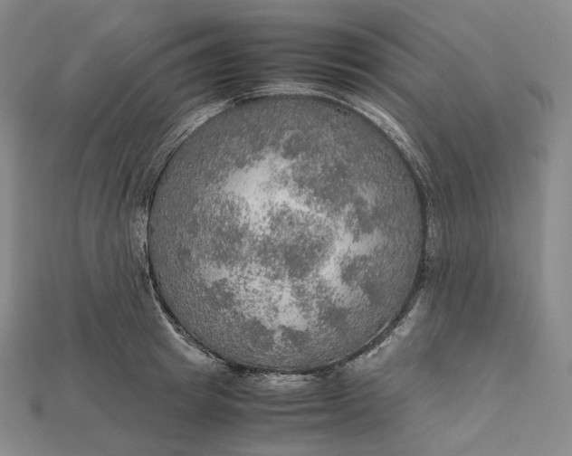 X0000115190849200911121820