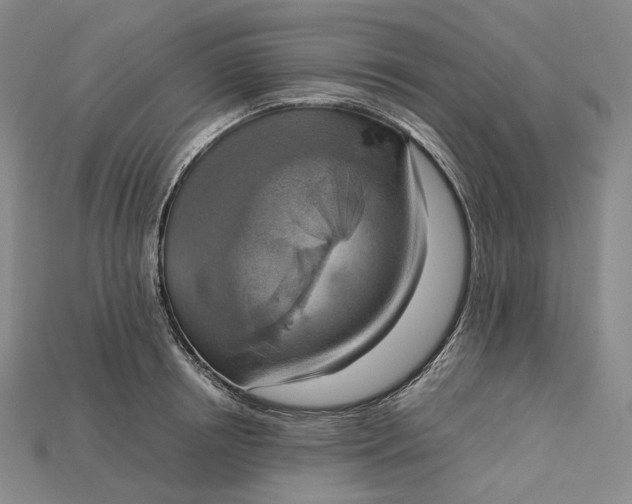 X0000115190850200911121820