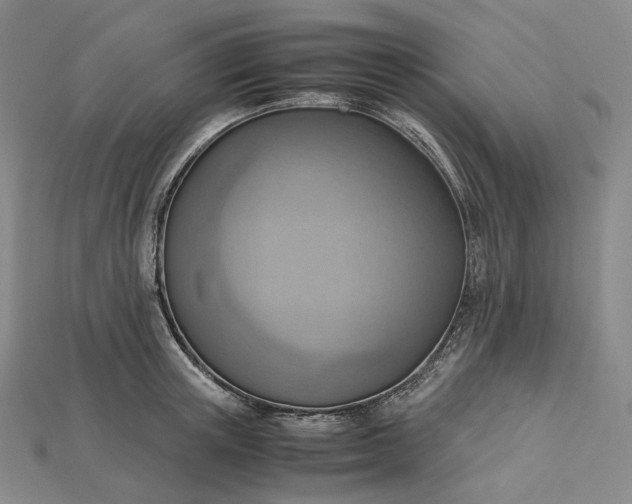 X0000115190851200911121820