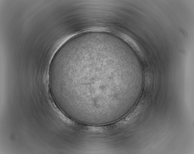 X0000115190852200911121820