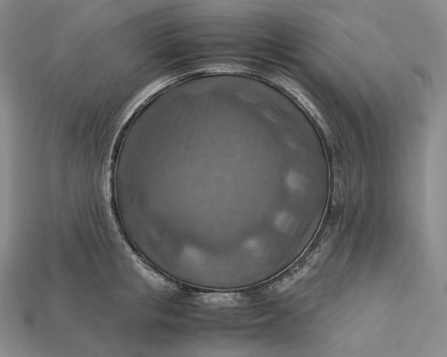 X0000115190853200911121820