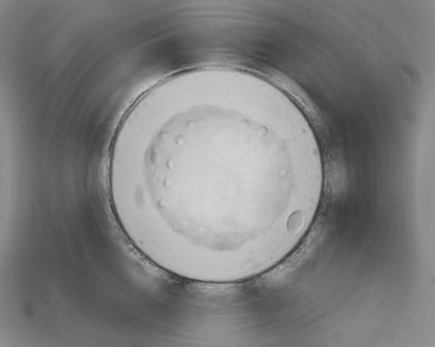 X0000115190856200911121820