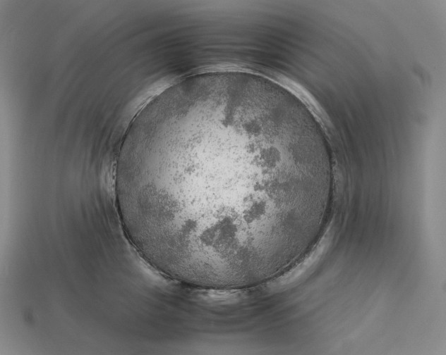X0000115190857200911121820