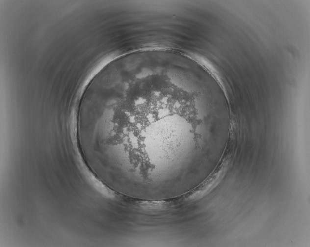 X0000115190859200911121820
