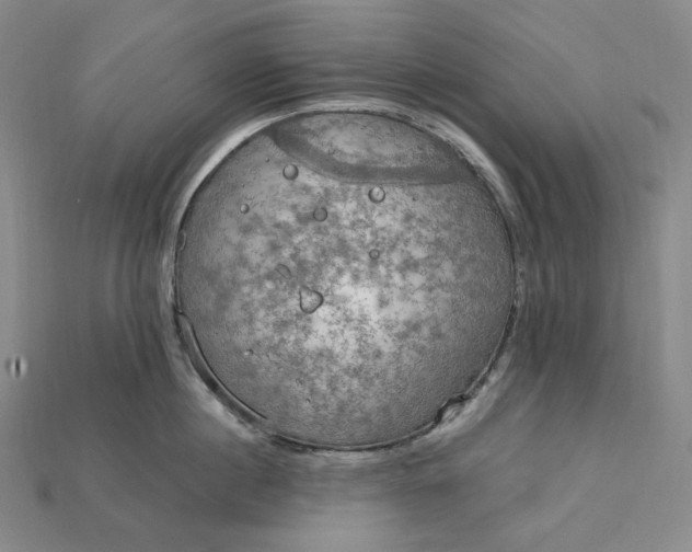 X0000115190860200911121820