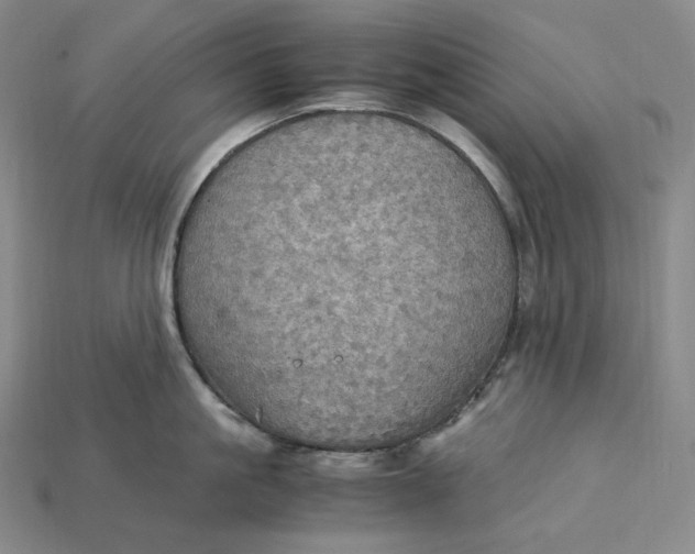 X0000115190861200911121820