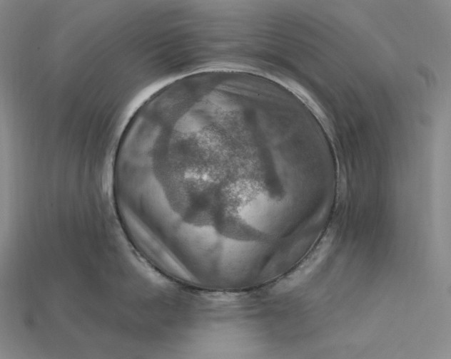 X0000115190862200911121820