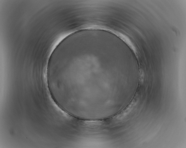 X0000115190863200911121820