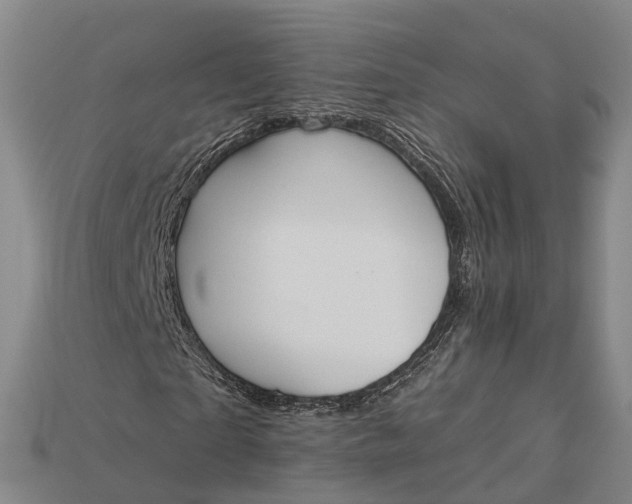 X0000115190865200911121820