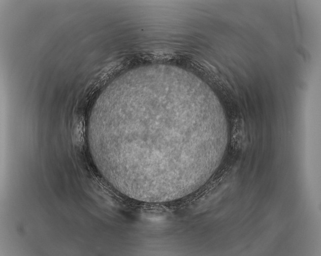 X0000115190866200911121820