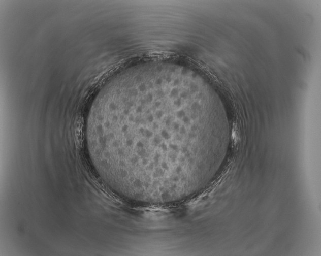 X0000115190867200911121820