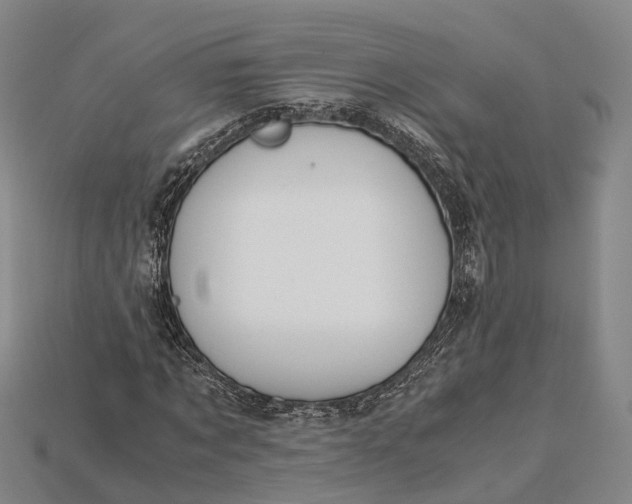 X0000115190869200911121820