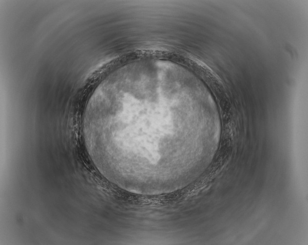 X0000115190870200911121820