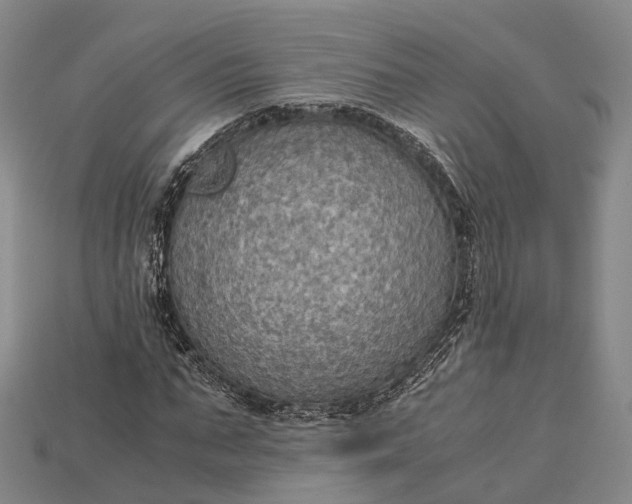 X0000115190871200911121820