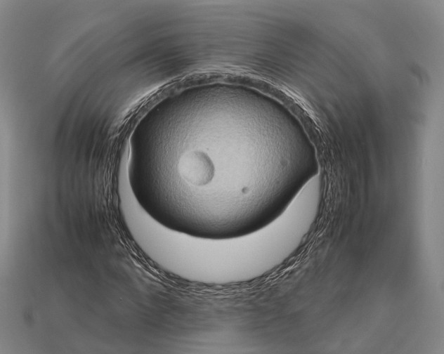 X0000115190872200911121820