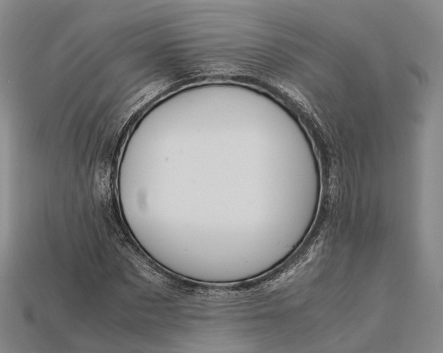 X0000115190873200911121820