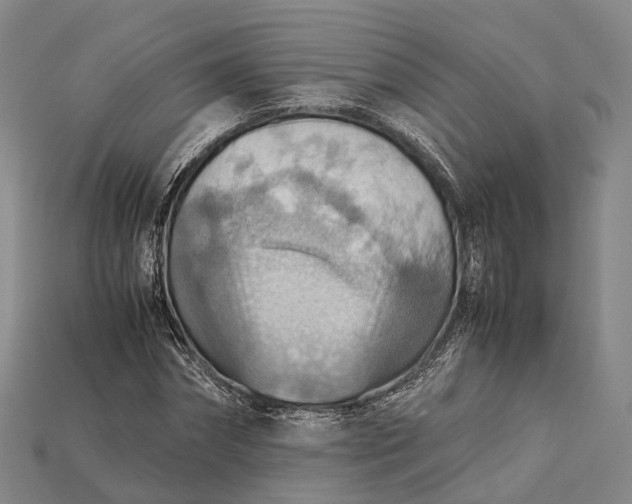 X0000115190874200911121820