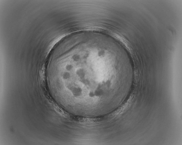 X0000115190875200911121820