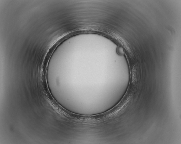 X0000115190876200911121820