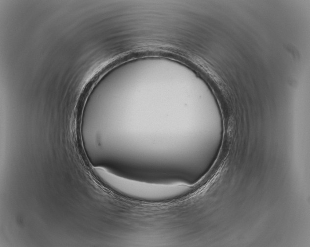 X0000115190877200911121820
