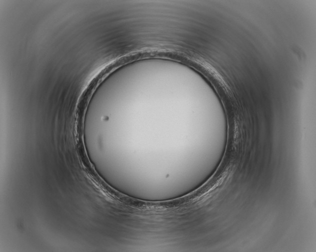 X0000115190878200911121820