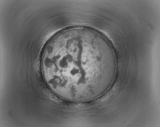 X0000115190879200911121820