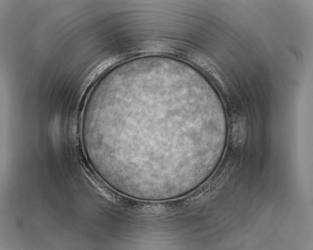 X0000115190882200911121820
