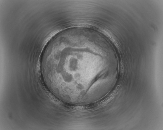 X0000115190883200911121820