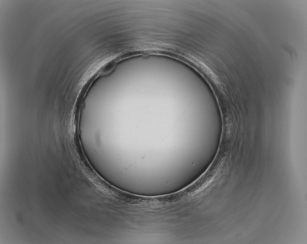 X0000115190885200911121820