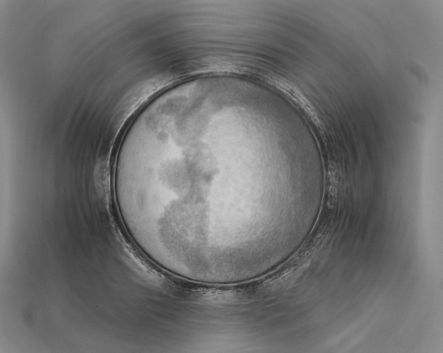 X0000115190890200911121819