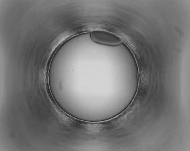 X0000115190893200911121819