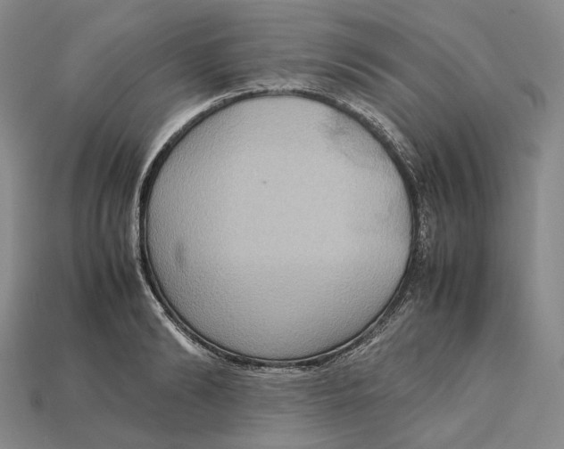 X0000115190894200911121819