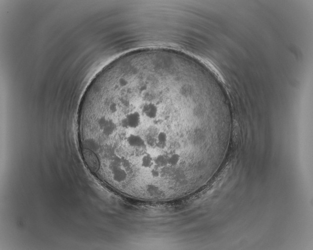 X0000115190895200911121819