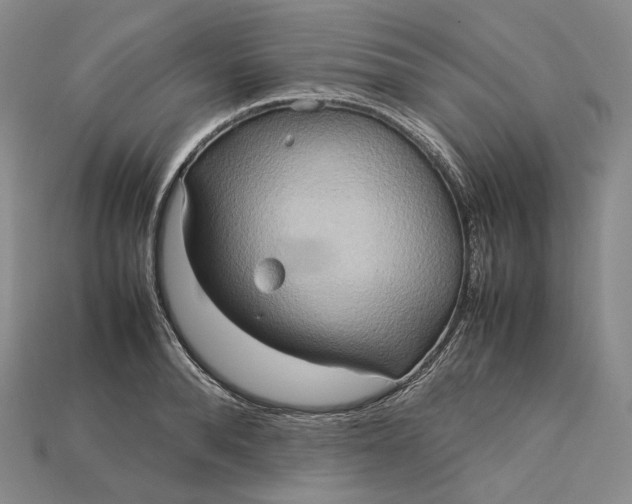 X0000115190896200911121819