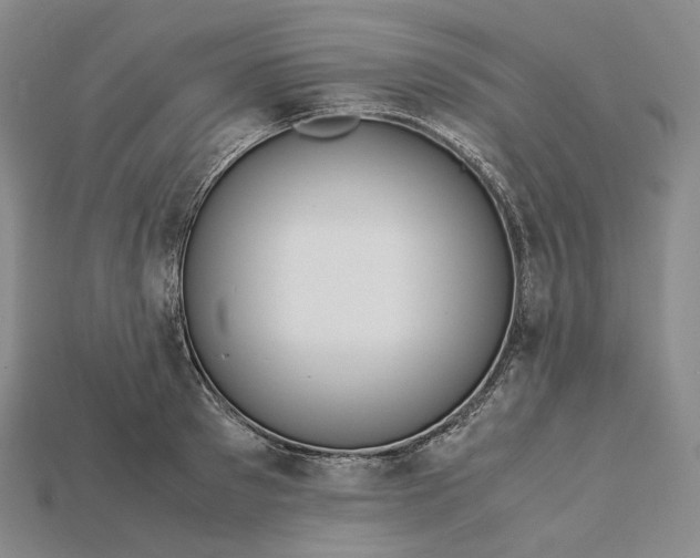 X0000115190897200911121819