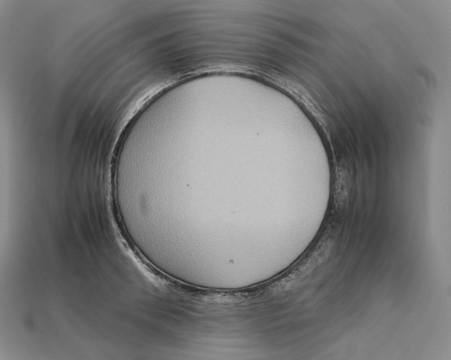 X0000115190898200911121819